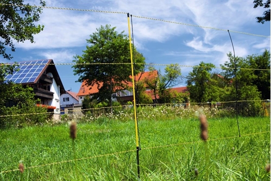 Fotografija proizvoda Mreža za ovce (105cm - 50 M)