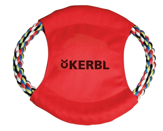 Frisbee 22 cm