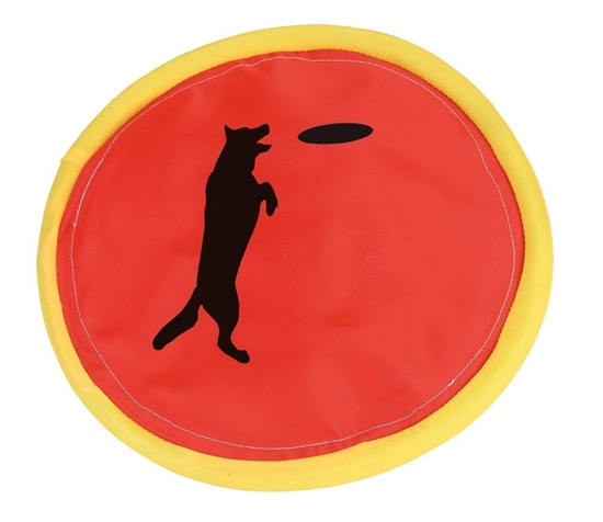 Frisbee24 cm