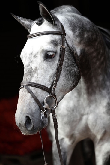 Fotografija proizvoda Uzde Standard-poni