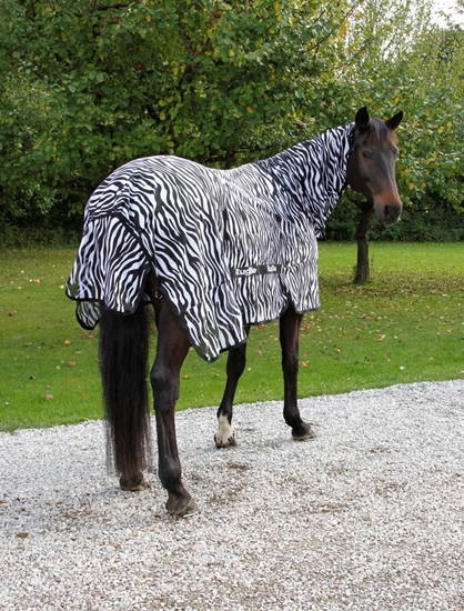 Deka za konje Zebra look125 cm/175 cm