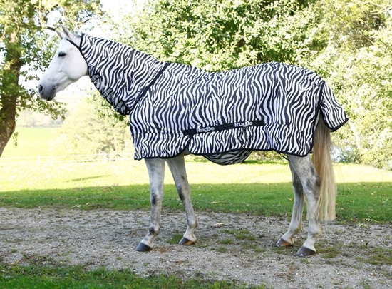 Deka za konje Zebra look 145 cm 195 cm