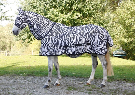 Deka za konje Zebra look 155 cm 205 cm