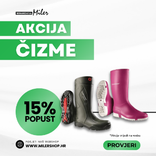 Slika kategorije Čizme  -15%